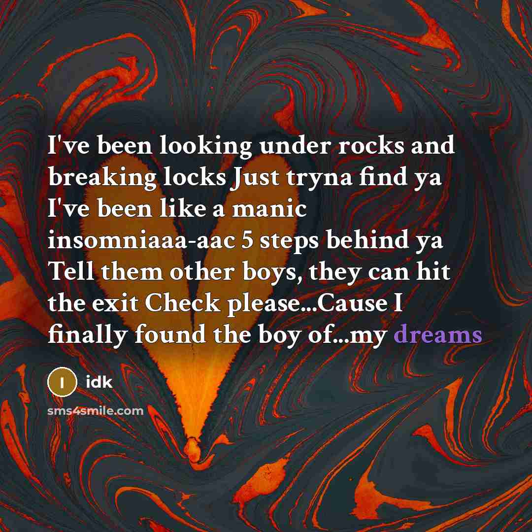 “I've been looking under rocks and breaking locks Just tryna find ya I've been like a manic insomniaaa-aac 5 steps behind ya Tell them other boys, they can hit the exit Check please...Cause I finally found the boy of...my dreams” quote by Idk