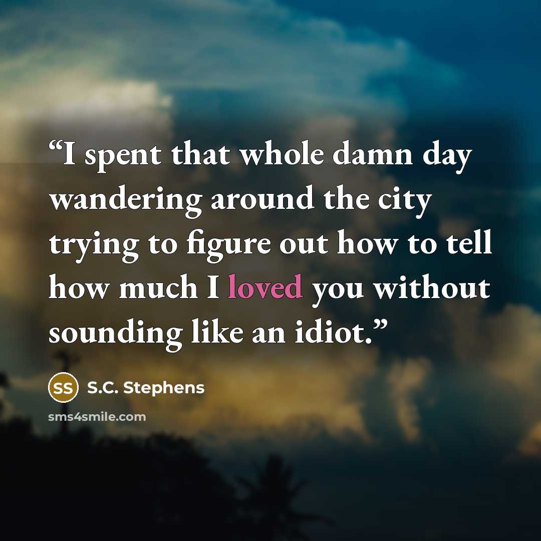 “I spent that whole damn day wandering around the city trying to figure out how to tell how much I loved you without sounding like an idiot.” quote by S.C. Stephens