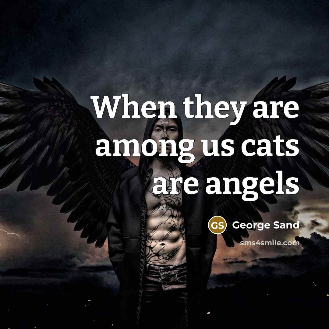 “When they are among us cats are angels” quote by George Sand