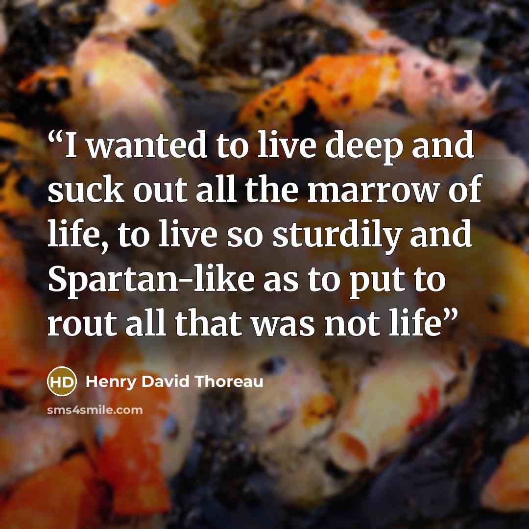 “I wanted to live deep and suck out all the marrow of life, to live so sturdily and Spartan-like as to put to rout all that was not life” quote by Henry David Thoreau