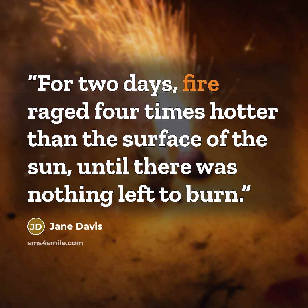 “For two days, fire raged four times hotter than the surface of the sun, until there was nothing left to burn.” quote by Jane Davis