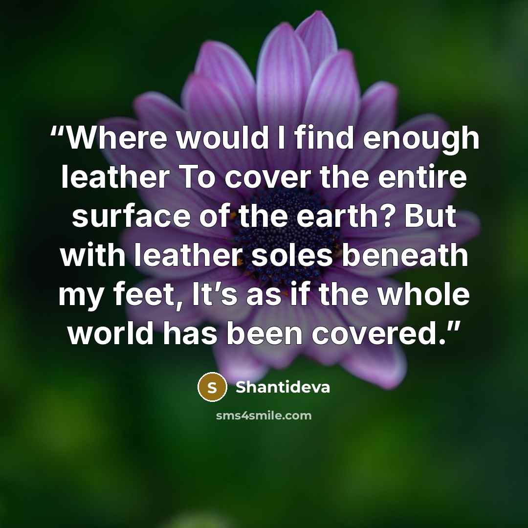 “Where would I find enough leather To cover the entire surface of the earth? But with leather soles beneath my feet, It’s as if the whole world has been covered.” quote by Shantideva