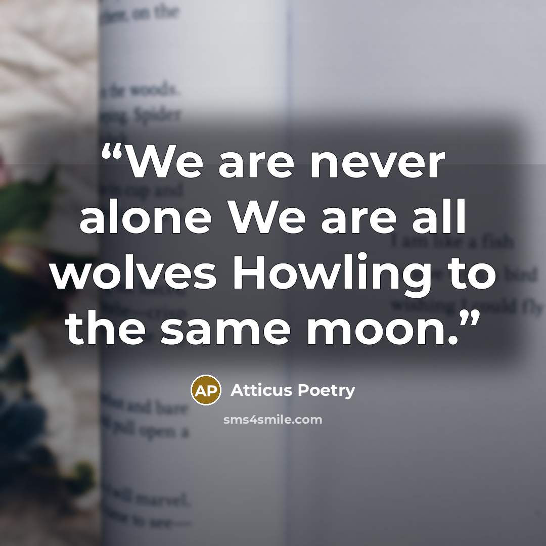 “We are never alone We are all wolves Howling to the same moon.” quote by Atticus Poetry