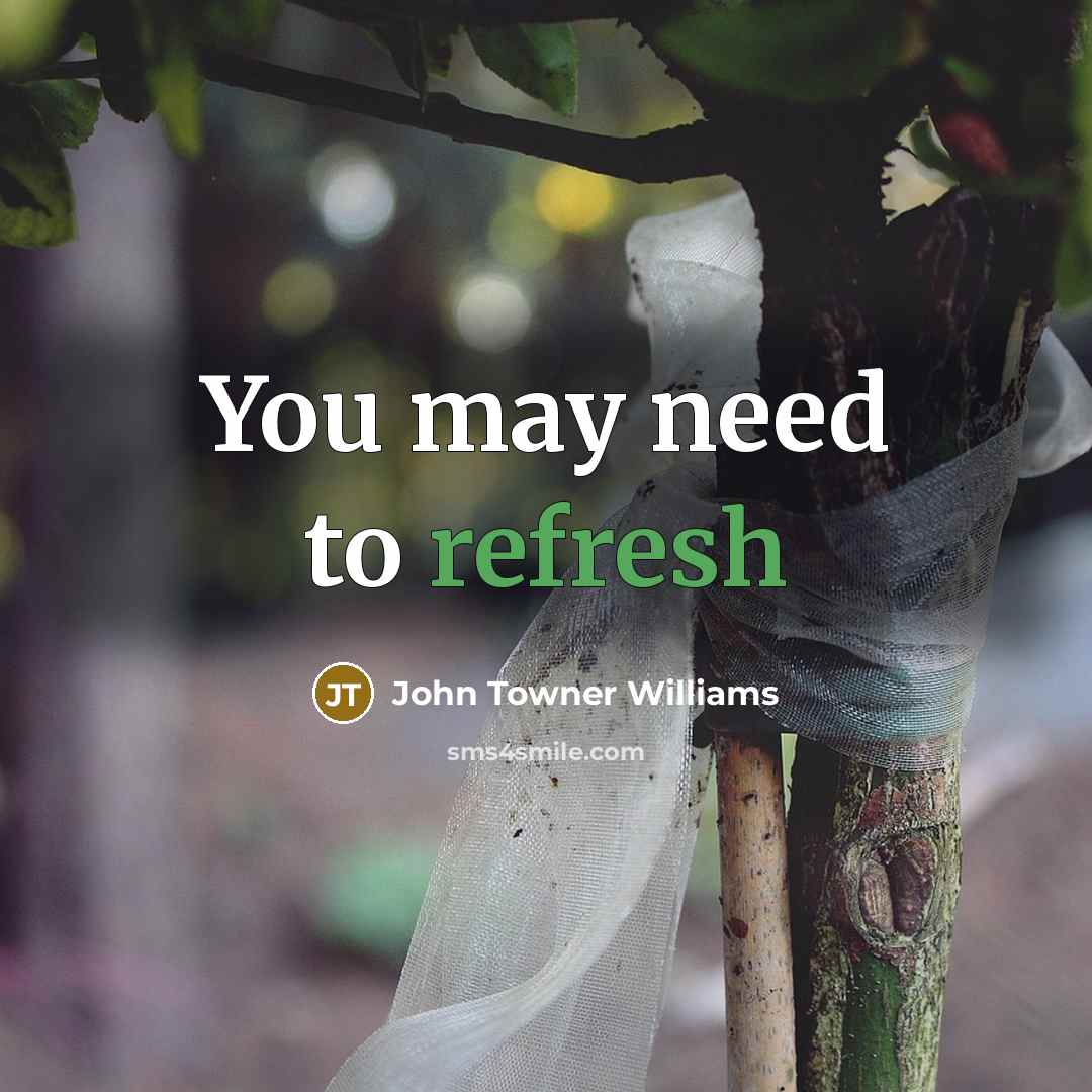 “You may need to refresh” quote by John Towner Williams