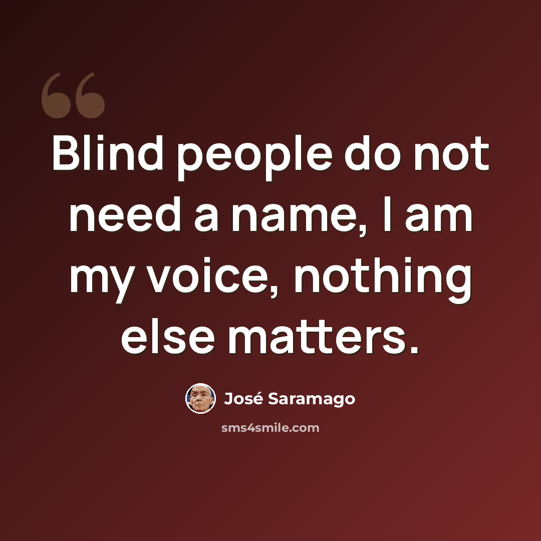 “Blind people do not need a name, I am my voice, nothing else matters.” quote by Jose Saramago
