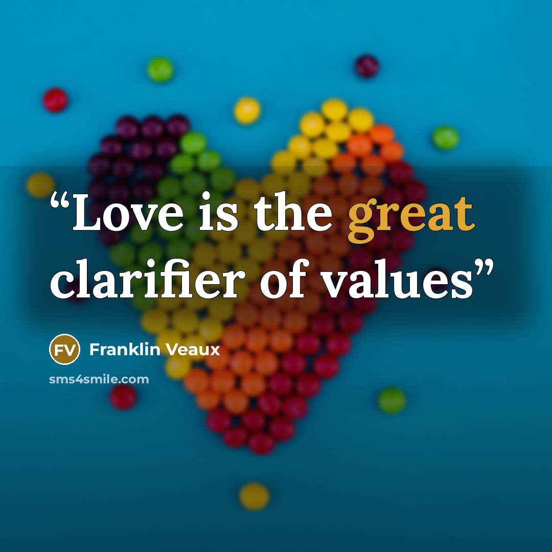 “Love is the great clarifier of values” quote by Franklin Veaux