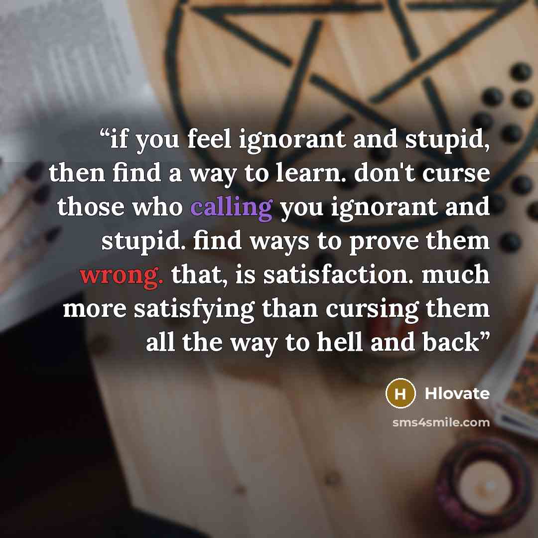 “if you feel ignorant and stupid, then find a way to learn. don't curse those who calling you ignorant and stupid. find ways to prove them wrong. that, is satisfaction. much more satisfying than cursing them all the way to hell and back” quote by Hlovate