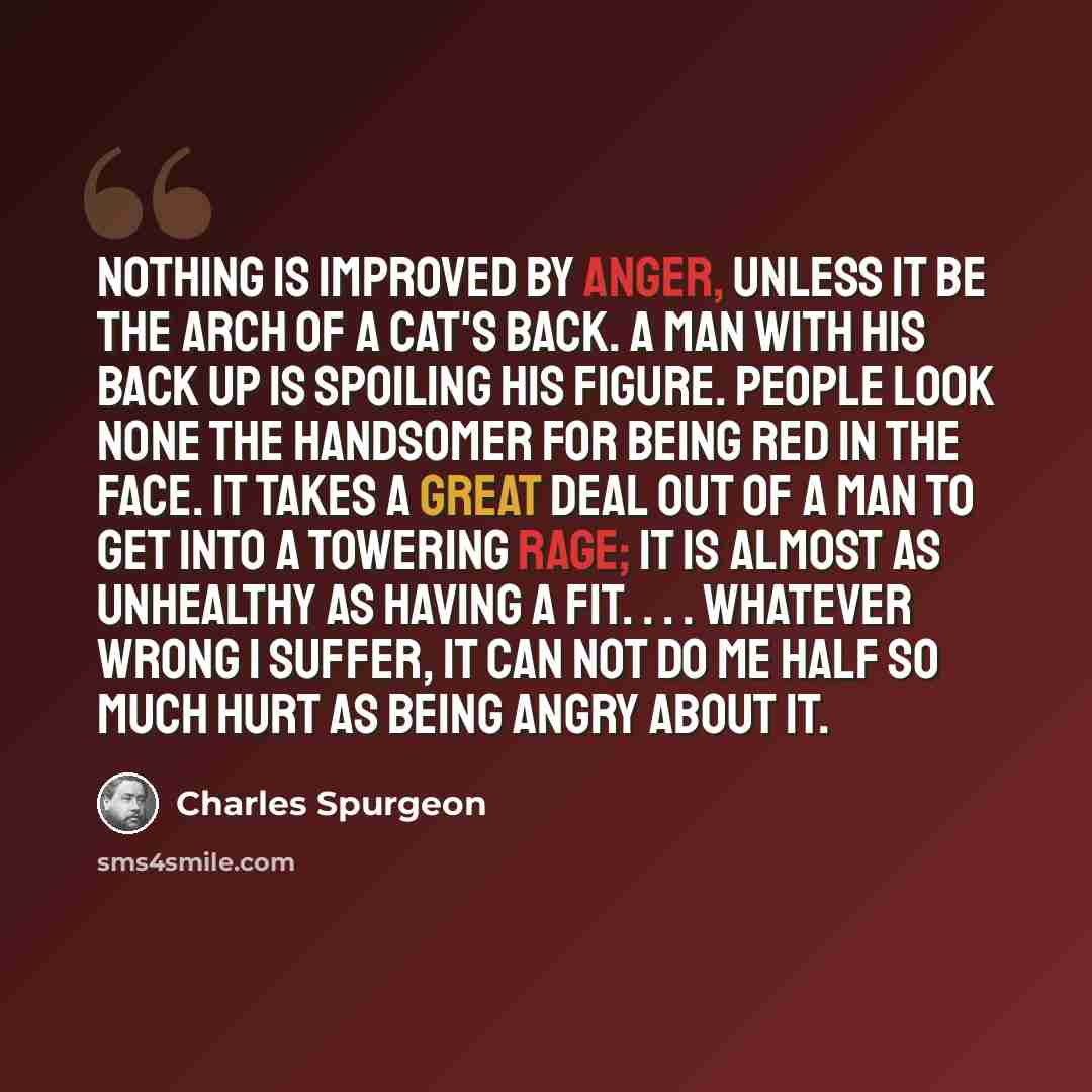 “Nothing is improved by anger, unless it be the arch of a cat's back. A man with his back up is spoiling his figure. People look none the handsomer for being red in the face. It takes a great deal out of a man to get into a towering rage; it is almost as unhealthy as having a fit. . . . Whatever…” quote by Charles Spurgeon