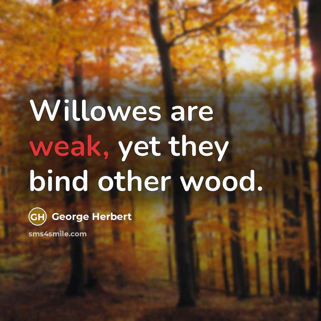 “Willowes are weak, yet they bind other wood.” quote by George Herbert