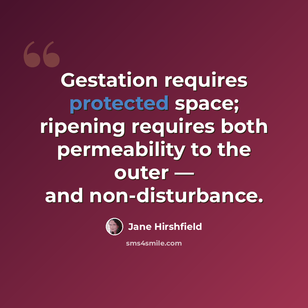 “Gestation requires protected space; ripening requires both permeability to the outer — and non-disturbance.” quote by Jane Hirshfield