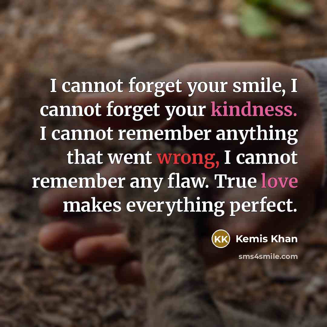 “I cannot forget your smile, I cannot forget your kindness. I cannot remember anything that went wrong, I cannot remember any flaw. True love makes everything perfect.” quote by Kemis Khan