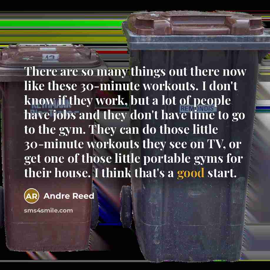 “There are so many things out there now like these 30-minute workouts. I don't know if they work, but a lot of people have jobs and they don't have time to go to the gym. They can do those little 30-minute workouts they see on TV, or get one of those little portable gyms for their house. I think…” quote by Andre Reed