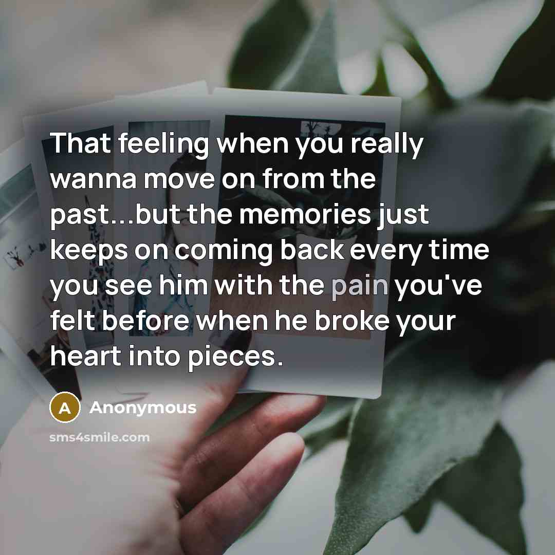 “That feeling when you really wanna move on from the past...but the memories just keeps on coming back every time you see him with the pain you've felt before when he broke your heart into pieces.” quote by Anonymous