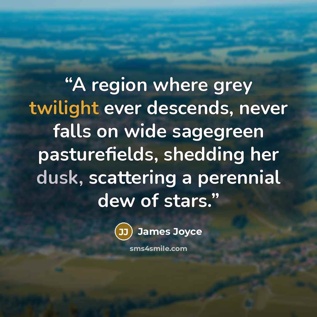 “A region where grey twilight ever descends, never falls on wide sagegreen pasturefields, shedding her dusk, scattering a perennial dew of stars.” quote by James Joyce