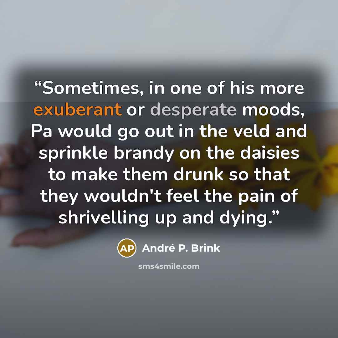 “Sometimes, in one of his more exuberant or desperate moods, Pa would go out in the veld and sprinkle brandy on the daisies to make them drunk so that they wouldn't feel the pain of shrivelling up and dying.” quote by André P. Brink