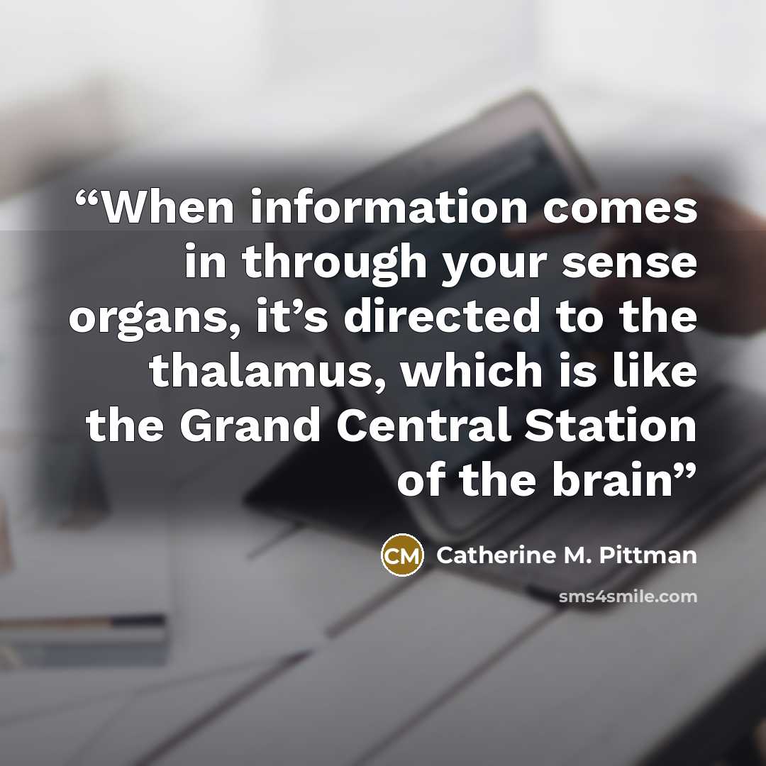 “When information comes in through your sense organs, it’s directed to the thalamus, which is like the Grand Central Station of the brain” quote by Catherine M. Pittman