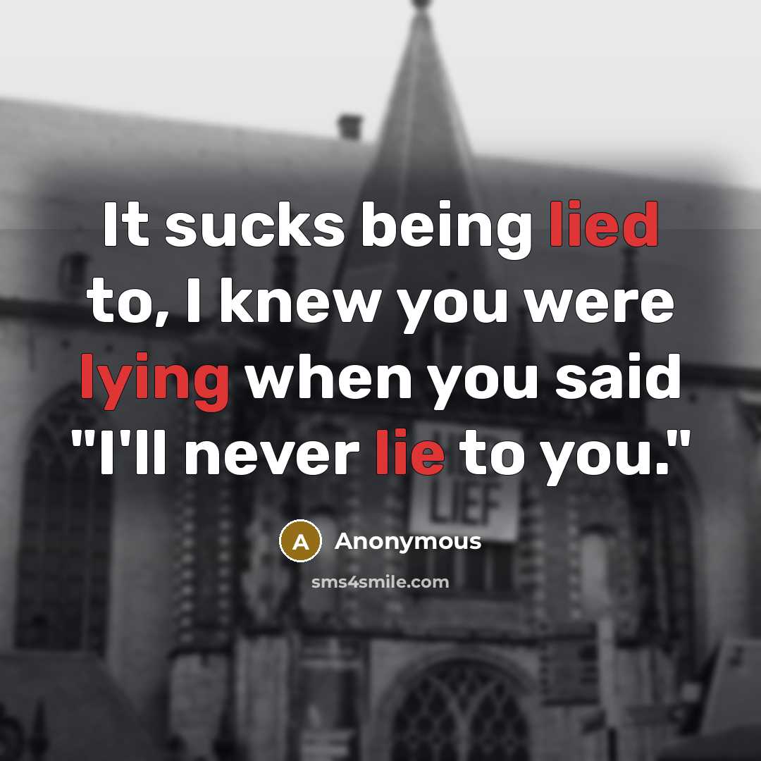 “It sucks being lied to, I knew you were lying when you said "I'll never lie to you."” quote by Anonymous