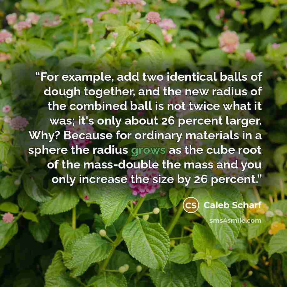 “For example, add two identical balls of dough together, and the new radius of the combined ball is not twice what it was; it's only about 26 percent larger. Why? Because for ordinary materials in a sphere the radius grows as the cube root of the mass-double the mass and you only increase the size…” quote by Caleb Scharf