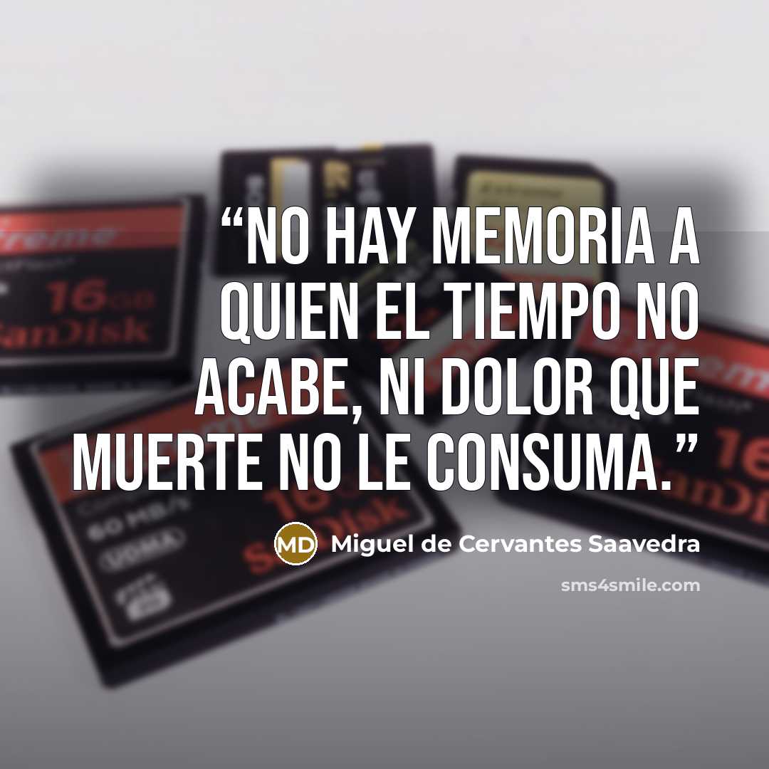 “No hay memoria a quien el tiempo no acabe, ni dolor que muerte no le consuma.” quote by Miguel de Cervantes Saavedra