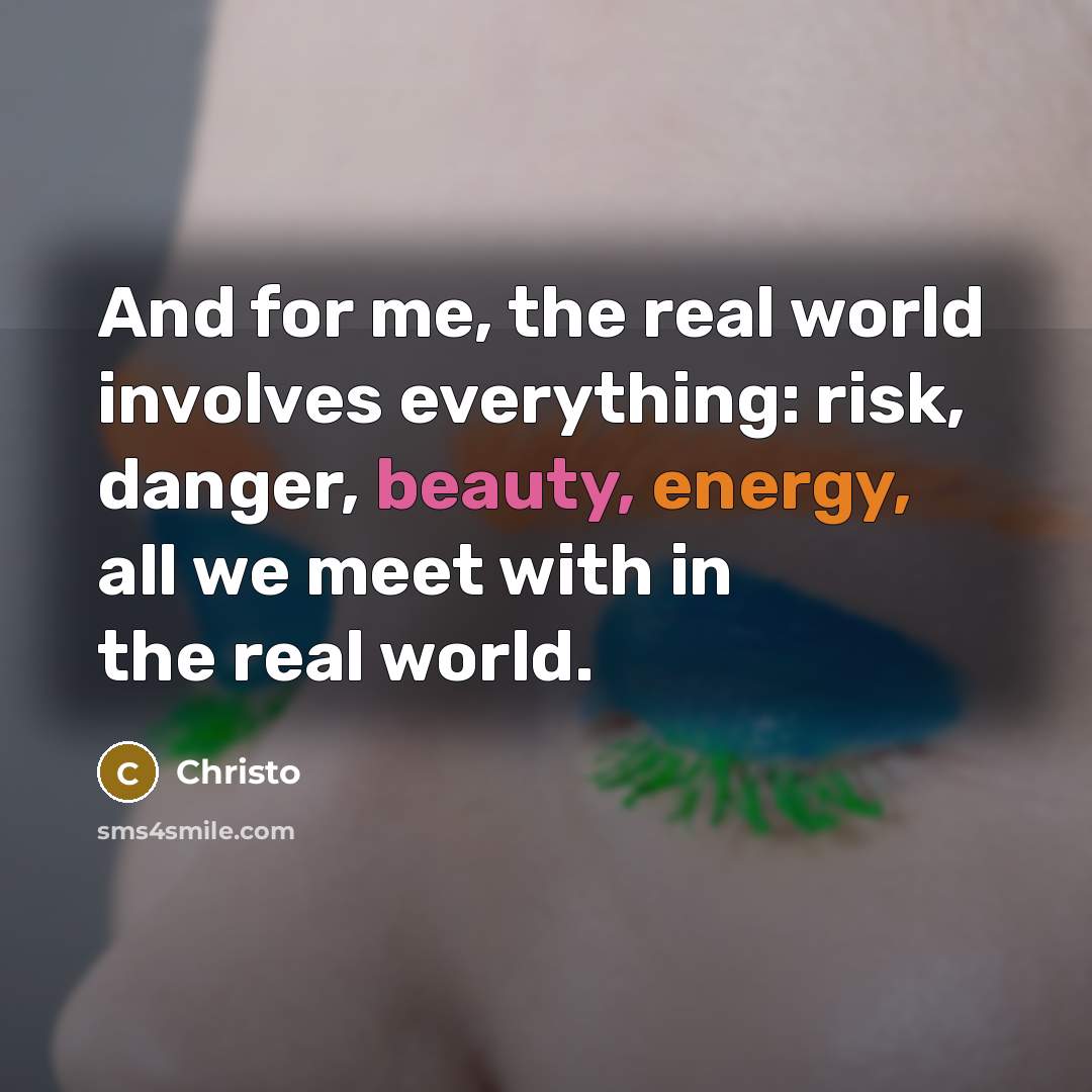 “And for me, the real world involves everything: risk, danger, beauty, energy, all we meet with in the real world.” quote by Christo