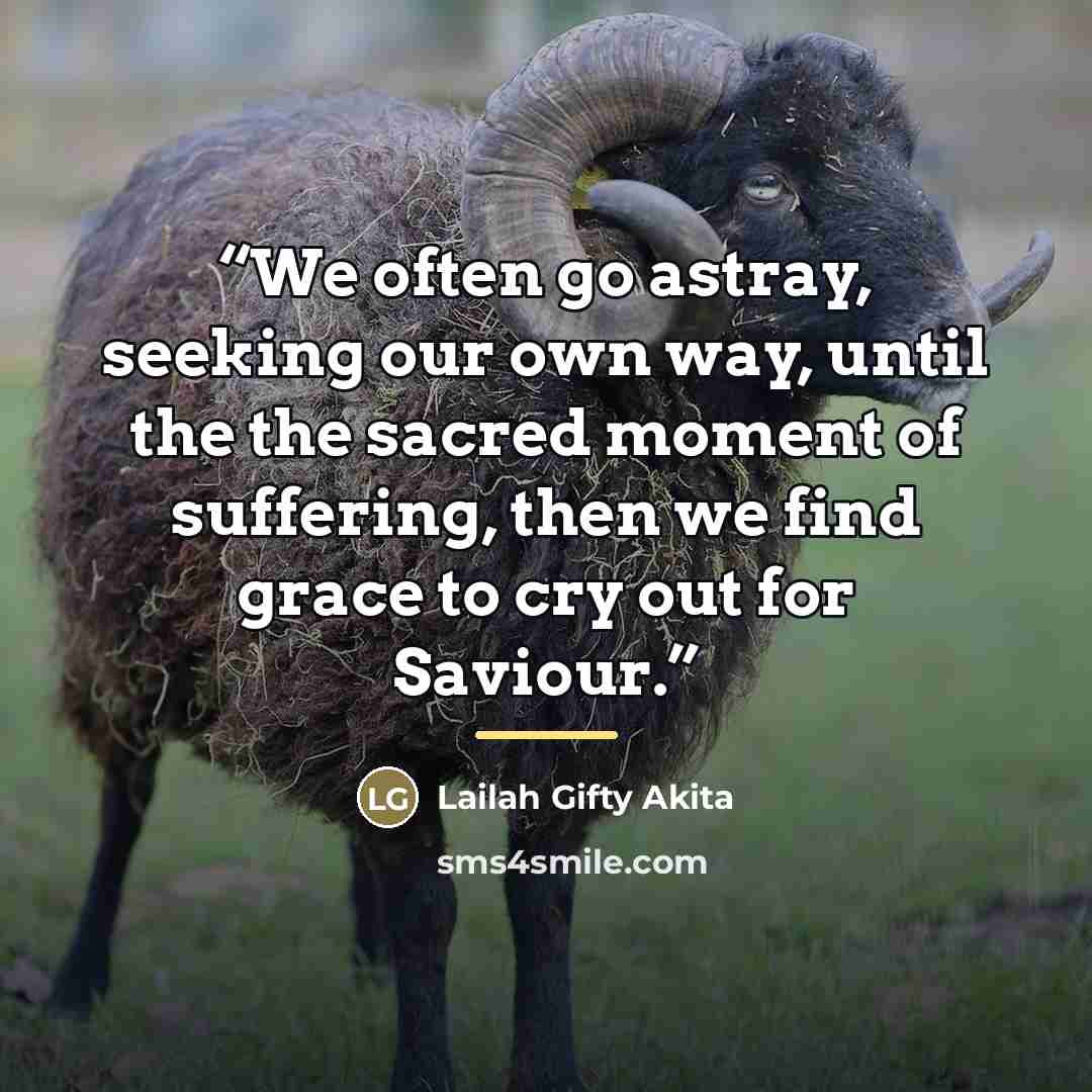 “We often go astray, seeking our own way, until the the sacred moment of suffering, then we find grace to cry out for Saviour.” quote by Lailah Gifty Akita