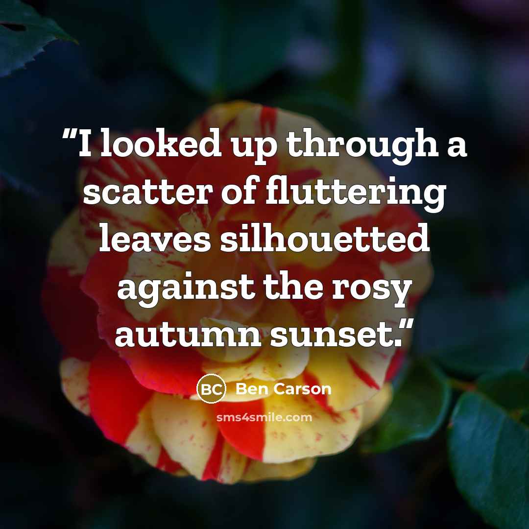 “I looked up through a scatter of fluttering leaves silhouetted against the rosy autumn sunset.” quote by Ben Carson