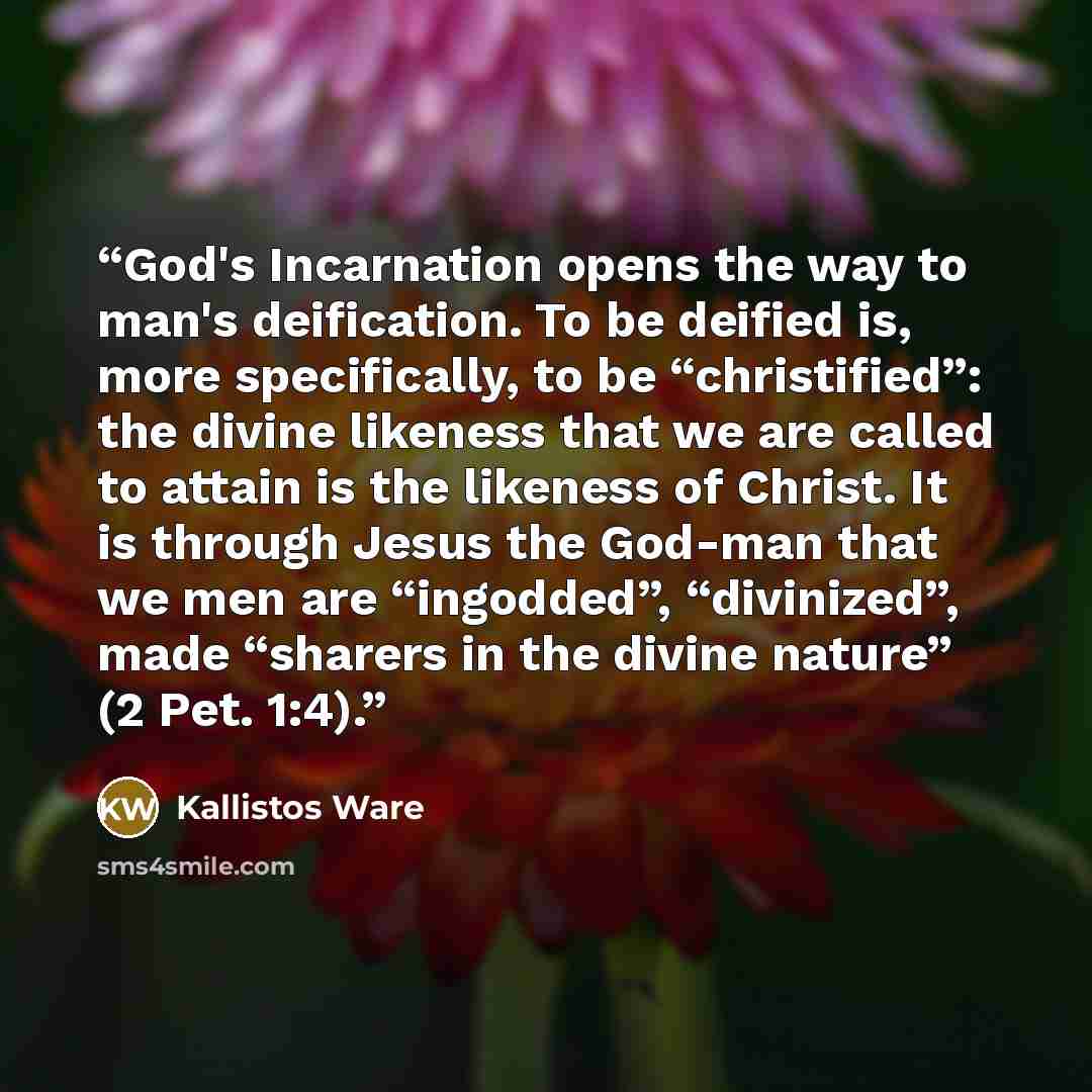 “God's Incarnation opens the way to man's deification. To be deified is, more specifically, to be “christified”: the divine likeness that we are called to attain is the likeness of Christ. It is through Jesus the God-man that we men are “ingodded”, “divinized”, made “sharers in the divine nature”…” quote by Kallistos Ware
