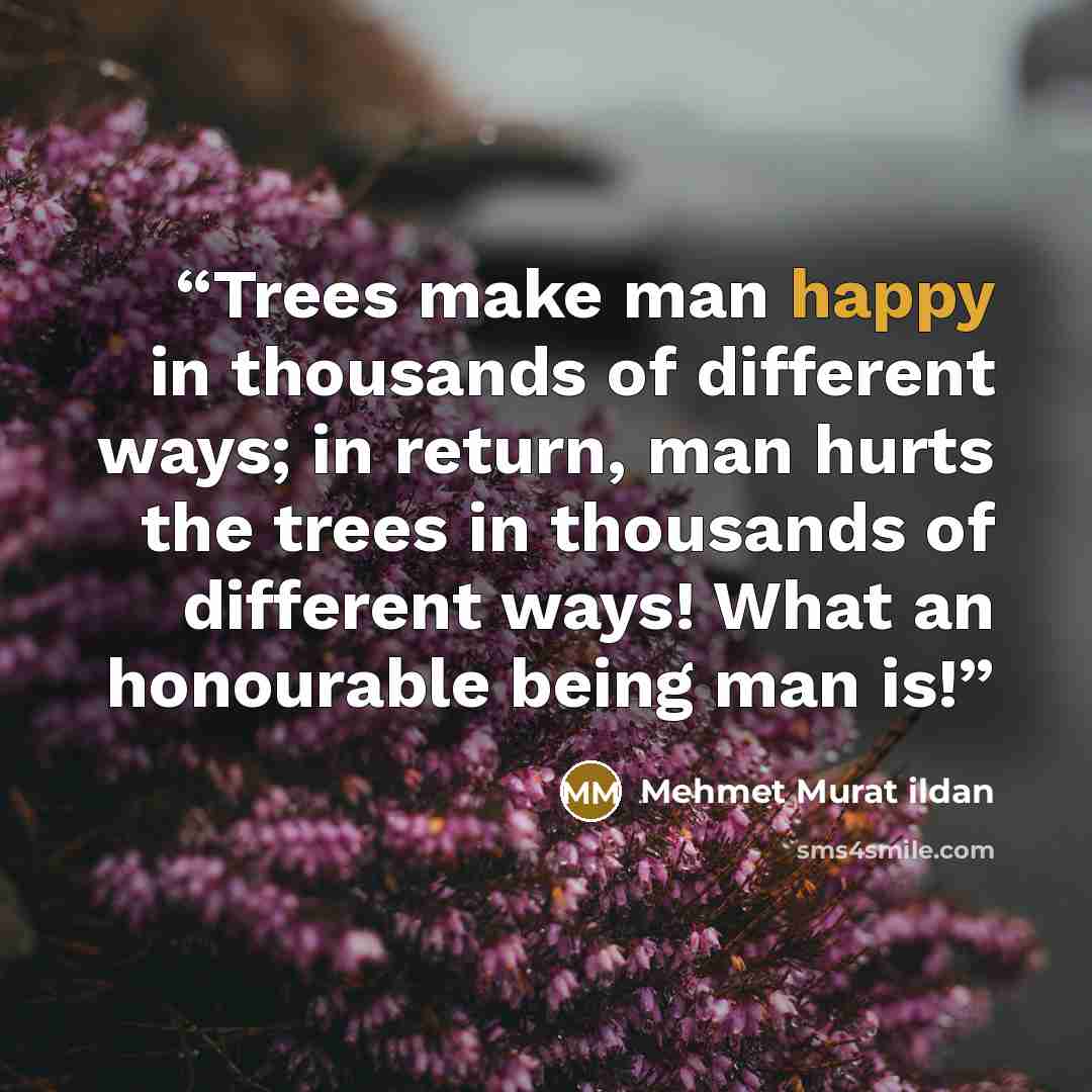 “Trees make man happy in thousands of different ways; in return, man hurts the trees in thousands of different ways! What an honourable being man is!” quote by Mehmet Murat ildan