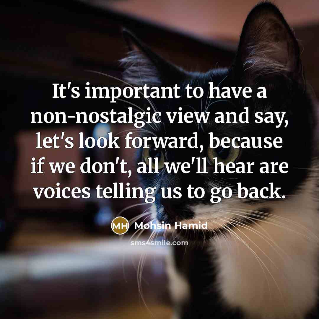 “It's important to have a non-nostalgic view and say, let's look forward, because if we don't, all we'll hear are voices telling us to go back.” quote by Mohsin Hamid