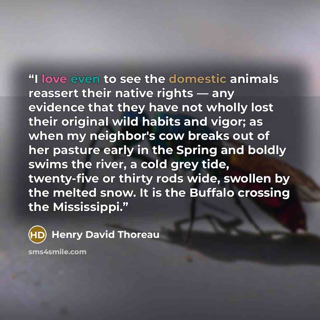 “‎I love even to see the domestic animals reassert their native rights — any evidence that they have not wholly lost their original wild habits and vigor; as when my neighbor's cow breaks out of her pasture early in the Spring and boldly swims the river, a cold grey tide, twenty-five or thirty rods…” quote by Henry David Thoreau