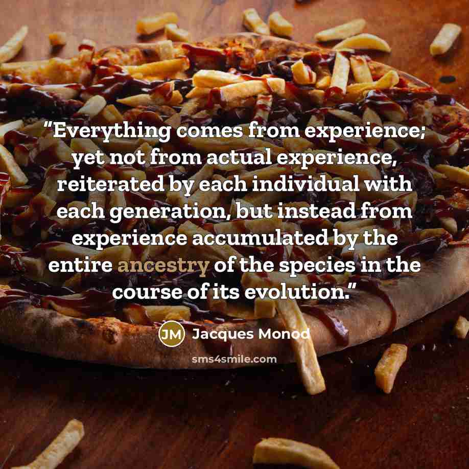 “Everything comes from experience; yet not from actual experience, reiterated by each individual with each generation, but instead from experience accumulated by the entire ancestry of the species in the course of its evolution.” quote by Jacques Monod