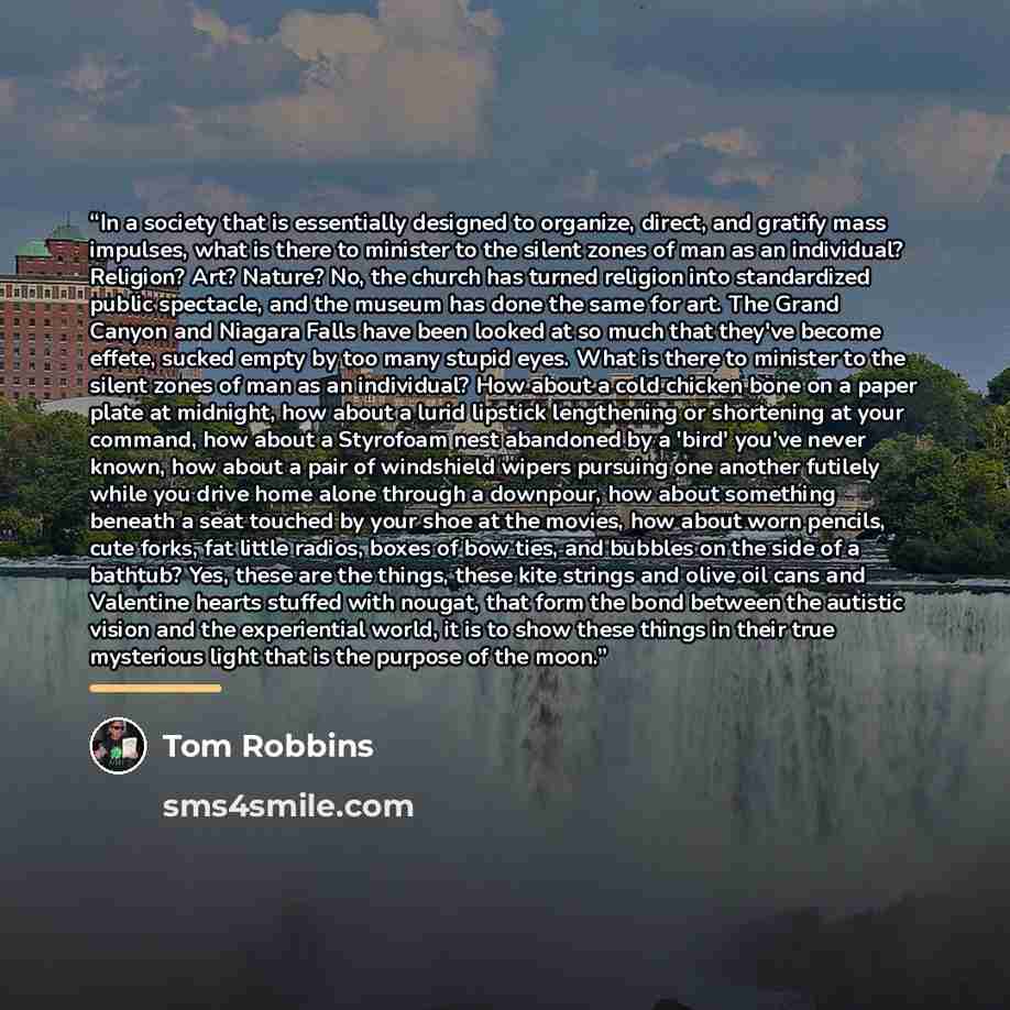 “In a society that is essentially designed to organize, direct, and gratify mass impulses, what is there to minister to the silent zones of man as an individual? Religion? Art? Nature? No, the church has turned religion into standardized public spectacle, and the museum has done the same for art…” quote by Tom Robbins
