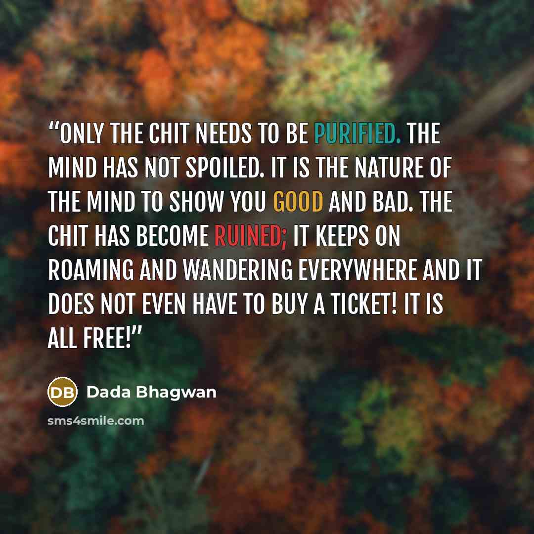 “Only the chit needs to be purified. The mind has not spoiled. It is the nature of the mind to show you good and bad. The chit has become ruined; it keeps on roaming and wandering everywhere and it does not even have to buy a ticket! It is all free!” quote by Dada Bhagwan