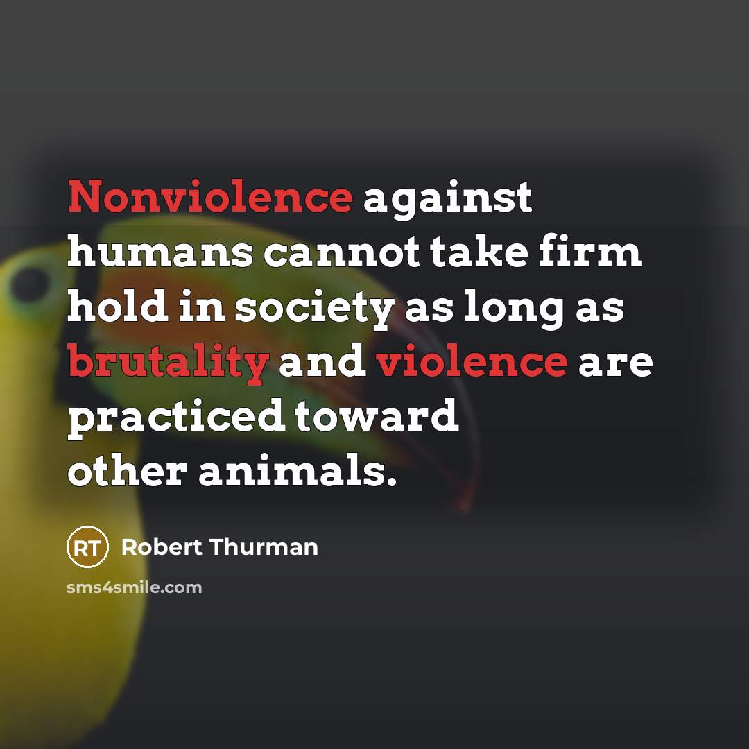 “Nonviolence against humans cannot take firm hold in society as long as brutality and violence are practiced toward other animals.” quote by Robert Thurman