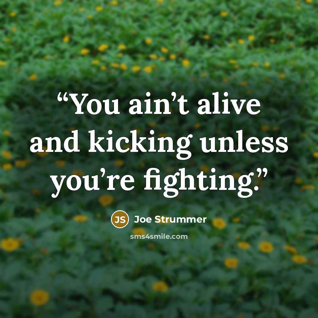 “You ain’t alive and kicking unless you’re fighting.” quote by Joe Strummer