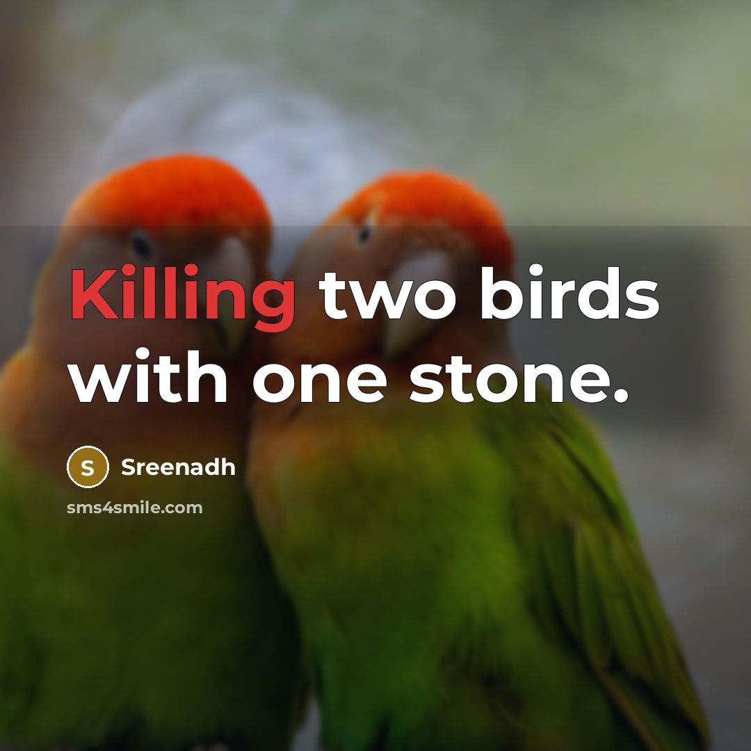 “Killing two birds with one stone.” quote by Sreenadh