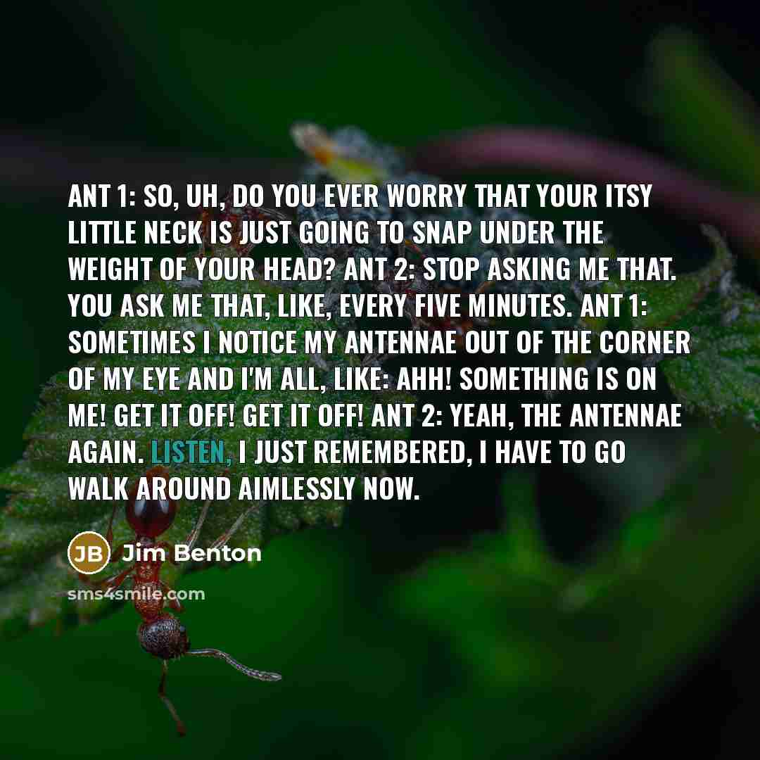 “Ant 1: So, uh, do you ever worry that your itsy little neck is just going to snap under the weight of your head? Ant 2: Stop asking me that. You ask me that, like, every five minutes. Ant 1: Sometimes I notice my antennae out of the corner of my eye and I'm all, like: AHH! Something is on me! Get…” quote by Jim Benton