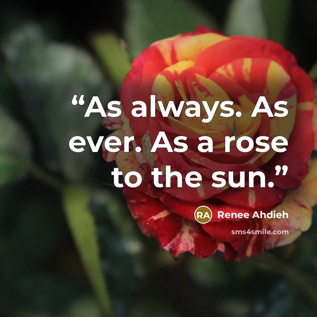 “As always. As ever. As a rose to the sun.” quote by Renee Ahdieh