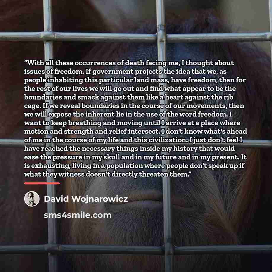 “With all these occurrences of death facing me, I thought about issues of freedom. If government projects the idea that we, as people inhabiting this particular land mass, have freedom, then for the rest of our lives we will go out and find what appear to be the boundaries and smack against them…” quote by David Wojnarowicz