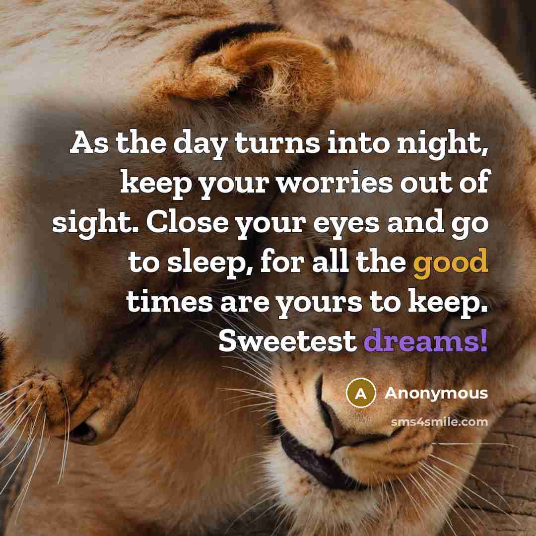 “As the day turns into night, keep your worries out of sight. Close your eyes and go to sleep, for all the good times are yours to keep. Sweetest dreams!” quote by Anonymous