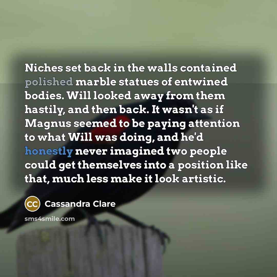 “Niches set back in the walls contained polished marble statues of entwined bodies. Will looked away from them hastily, and then back. It wasn't as if Magnus seemed to be paying attention to what Will was doing, and he'd honestly never imagined two people could get themselves into a position like…” quote by Cassandra Clare
