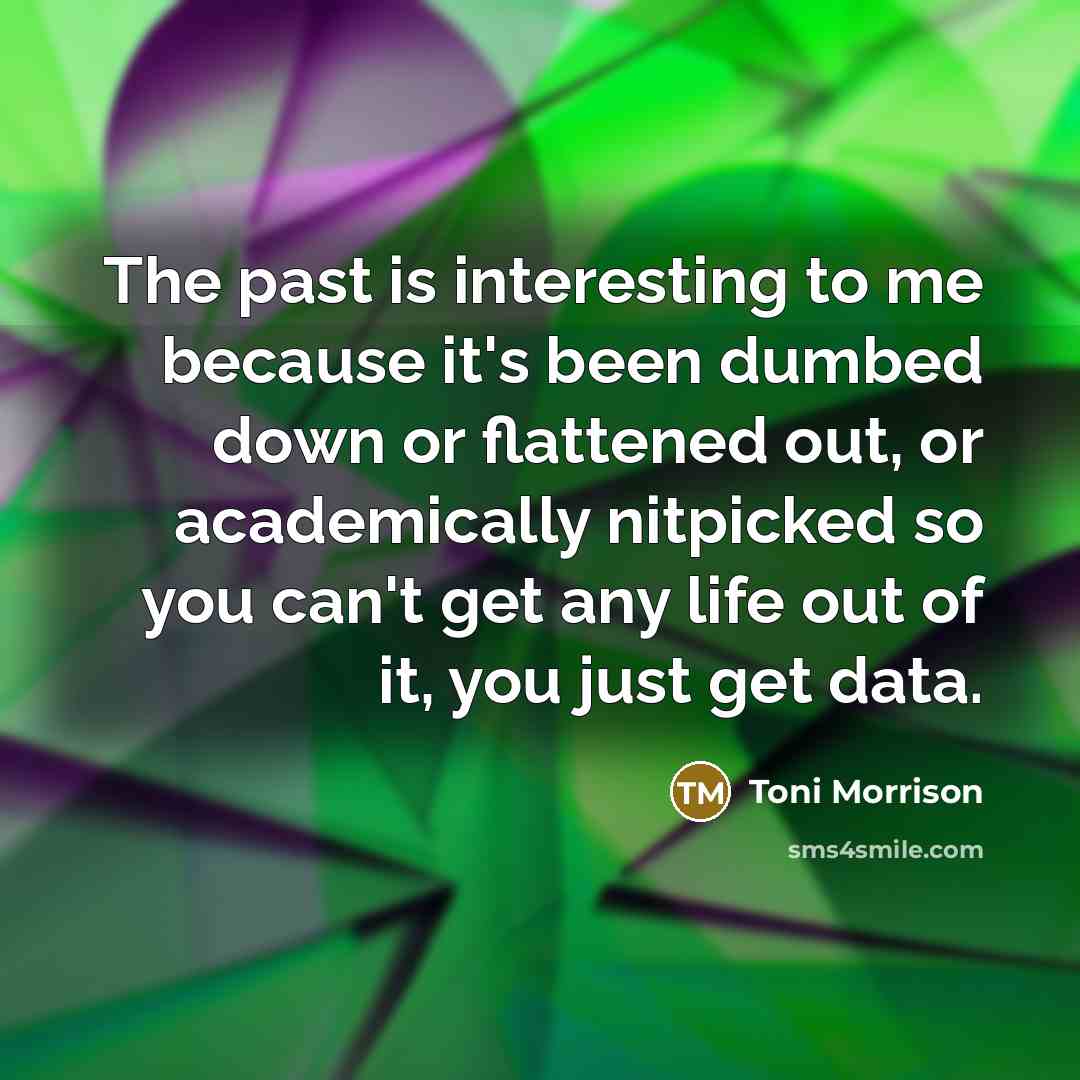 “The past is interesting to me because it's been dumbed down or flattened out, or academically nitpicked so you can't get any life out of it, you just get data.” quote by Toni Morrison