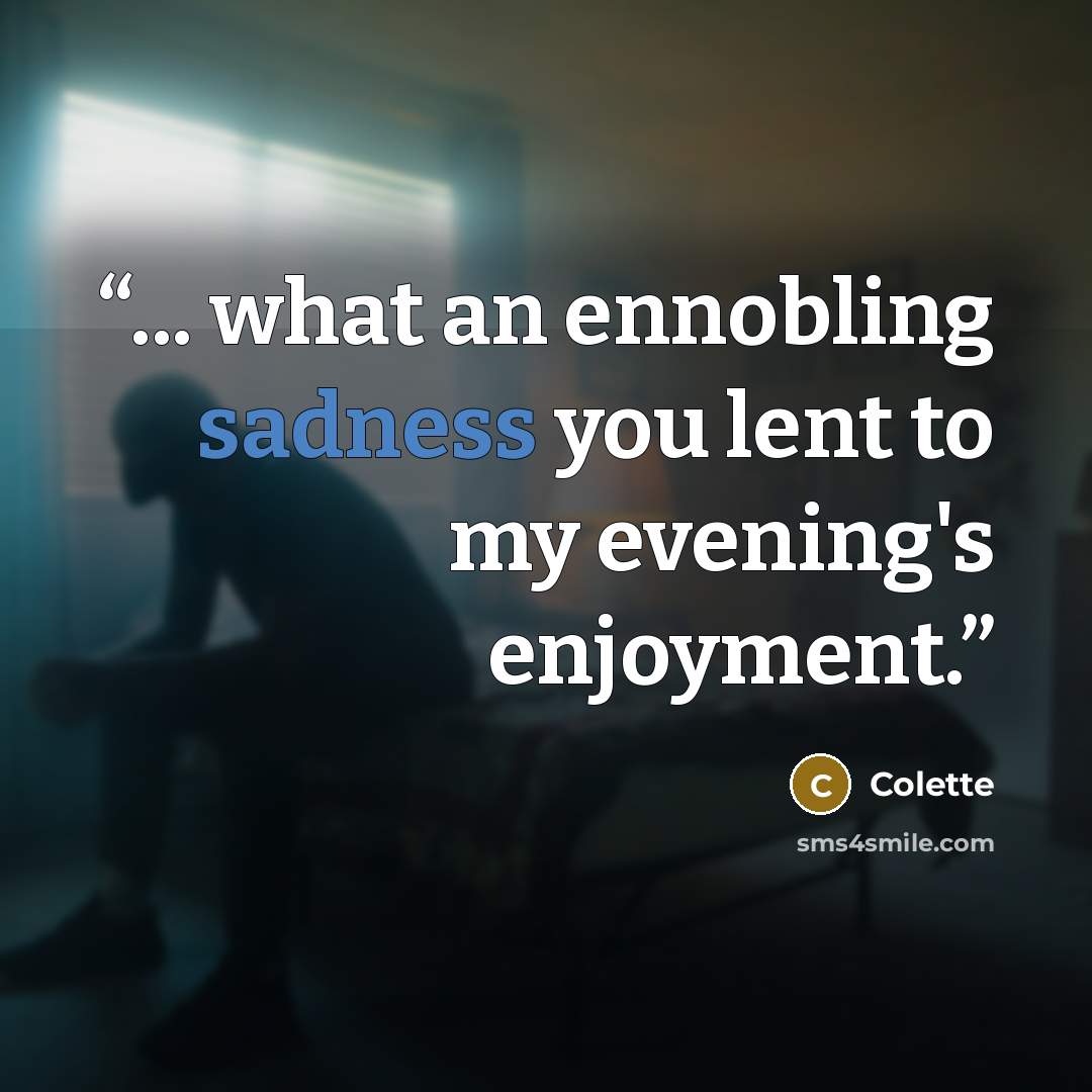 “... what an ennobling sadness you lent to my evening's enjoyment.” quote by Colette