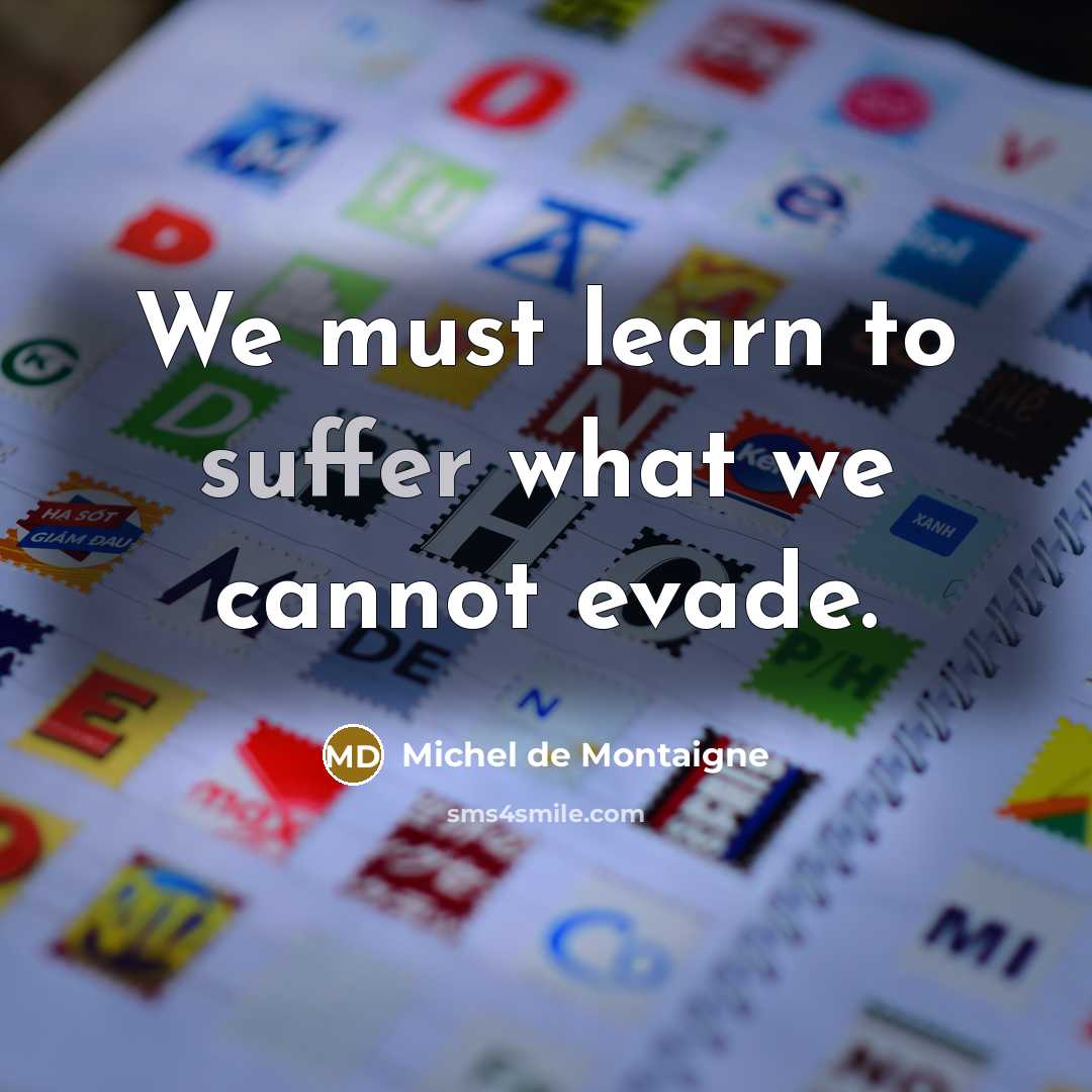 “We must learn to suffer what we cannot evade.” quote by Michel de Montaigne