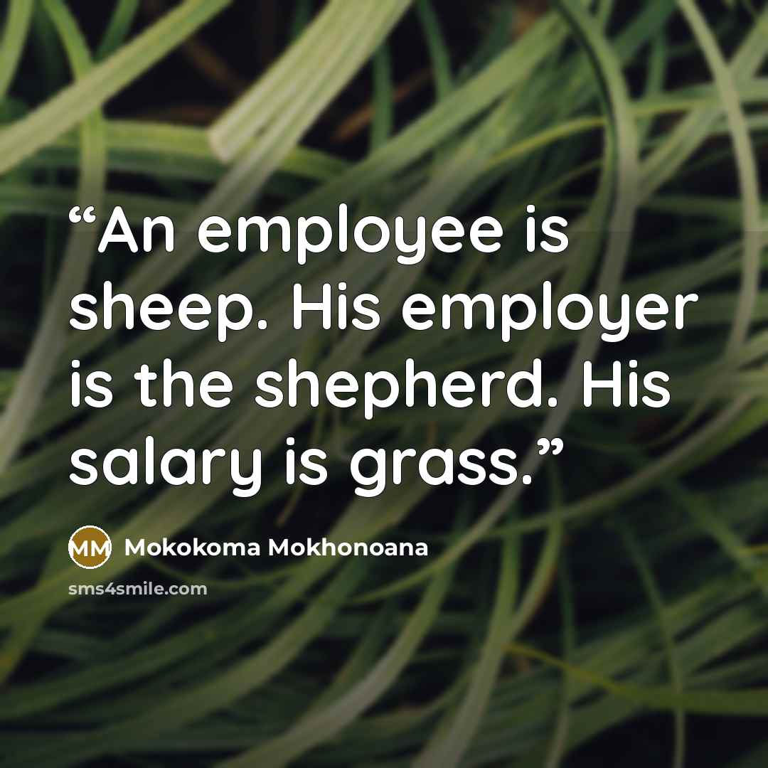 “An employee is sheep. His employer is the shepherd. His salary is grass.” quote by Mokokoma Mokhonoana