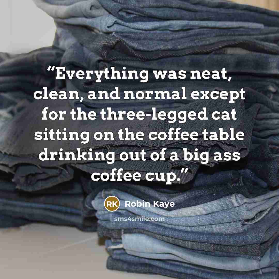 “Everything was neat, clean, and normal except for the three-legged cat sitting on the coffee table drinking out of a big ass coffee cup.” quote by Robin Kaye