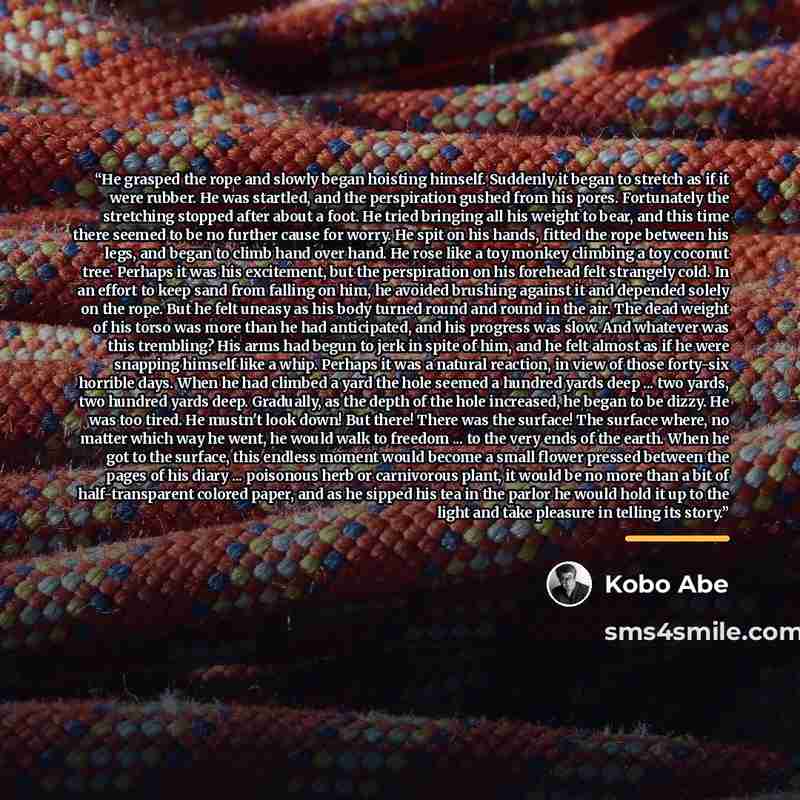 “He grasped the rope and slowly began hoisting himself. Suddenly it began to stretch as if it were rubber. He was startled, and the perspiration gushed from his pores. Fortunately the stretching stopped after about a foot. He tried bringing all his weight to bear, and this time there seemed to be…” quote by Kōbō Abe