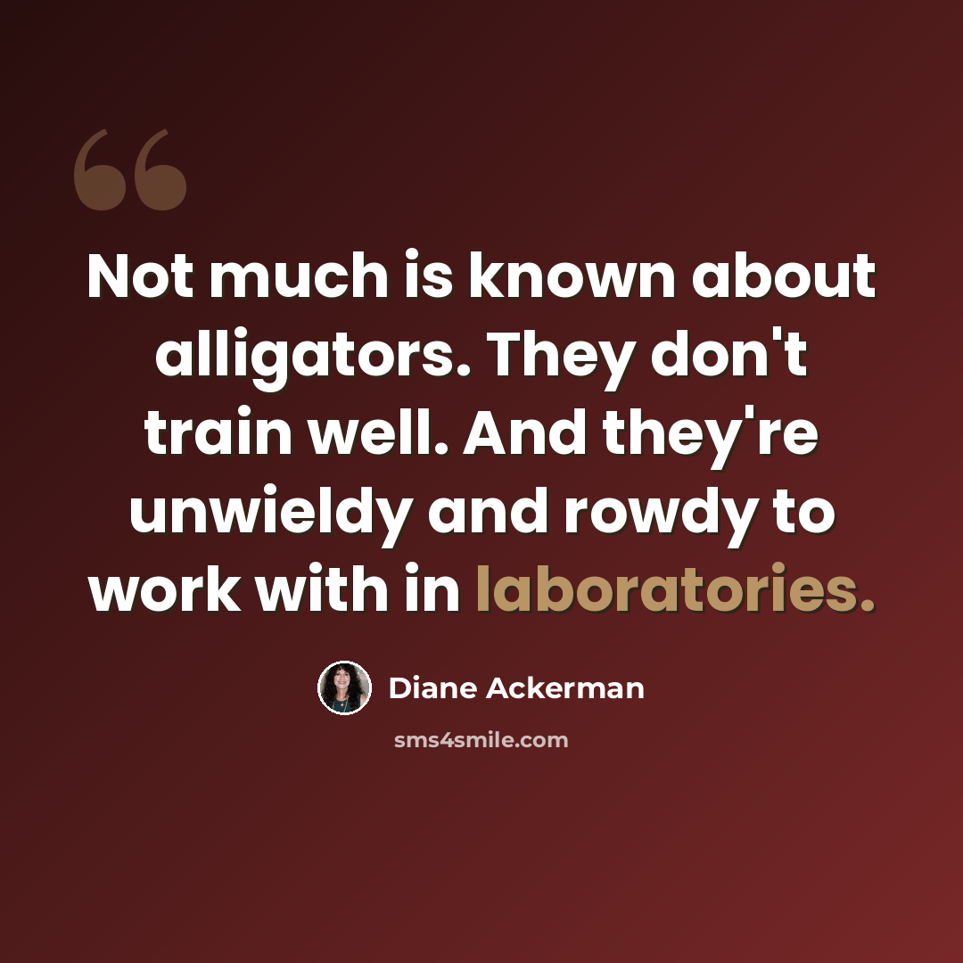 “Not much is known about alligators. They don't train well. And they're unwieldy and rowdy to work with in laboratories.” quote by Diane Ackerman