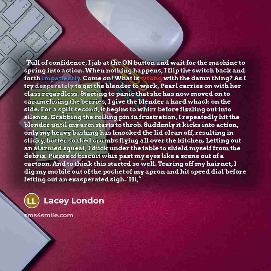 “Full of confidence, I jab at the ON button and wait for the machine to spring into action. When nothing happens, I flip the switch back and forth impatiently. Come on! What is wrong with the damn thing? As I try desperately to get the blender to work, Pearl carries on with her class regardless…” quote by Lacey London