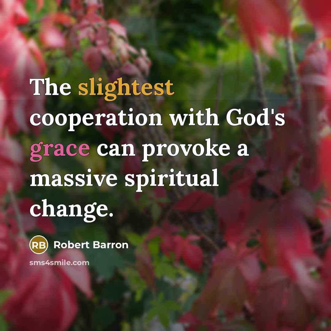 “The slightest cooperation with God's grace can provoke a massive spiritual change.” quote by Robert Barron
